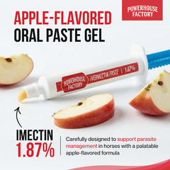 6 Pack In Box Paste Horse Dewormer Apple Flavor wormer horse Dewormer