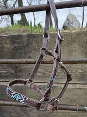 Leather Halter – Navajo Beaded Cheeks and Noseband – Turquoise – Rust Beads