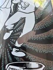 Chums Steve Douglas New Deal Shaped Skateboard Deck B Stock Error 9.5 x 31.9