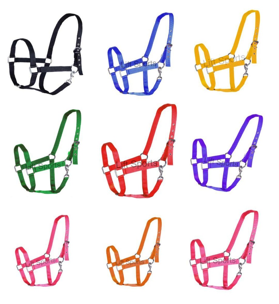 Horse Halter Nylon Full Size Adjustable Tack Shows Equestrian New