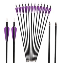 19-70lbs Adjustable Compound Bow 320FPS Hunting Arrows Archery Hunt Shoot Target