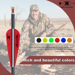 12PCS 28″ Carbon Arrows 2.95″ Vane Spine 500 Compound Recurve Bows Rage Hunting