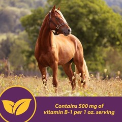 Farnam Horse Health Vita B-1 Crumbles Supplement for Horses, 3 pounds