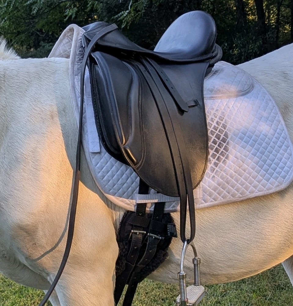 Treeless 17.5″ Dressage Saddle, Adjustable Foam Panel, Deep Seat, Knee Blocks