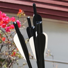 12Pcs 20″ Archery Carbon Crossbow Bolts Half Moon Nock OD 8.8mm Arrows Hunting