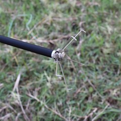 6/12Pcs Archery Broadheads Arrow Points Shooting Suitable for Small Animal Game