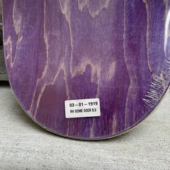 NEW Baker Skateboards Riley Hawk Pro Model Dome Door OG Shape 8.5” Art By Spanky