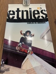 Vintage Etnies Carlos De Andrade Double Sided Skate Shop Banner 46×16 Rare Y2K