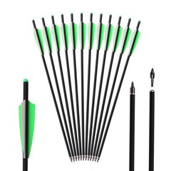 12x Crossbow Bolts Carbon Shafts ID7.6mm /Lighted nocks Set for Hunting Shooting