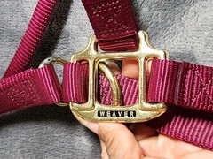 Weaver Leather Nylon Horse Halter Red 1 Inch Average Horse 800 To 1100 Pounds