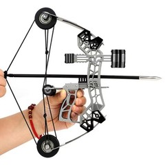 Compound Bow 12lbs, Archery Bow and Arrow Set, Shooting Range 40-50m, Gift