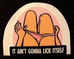 SEXY GIRL STICKER “PINK PANTY” 2 1/2 X 2 1/4” ITS NOT GOING TO LICK ITSELF! 🔥
