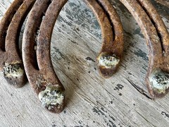 Hand-Forged Pair of 2 Studded Cast Iron Lucky Draft Horseshoes-Farmhouse Decor