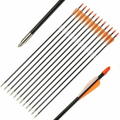 12Pcs 31 Inch Archery Fiberglass Target Practice Arrows for Recurve Compound Bow