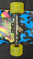 RIPNDIP Skateboard w/Sector9 Wheels and Charger Gullwing Trucks