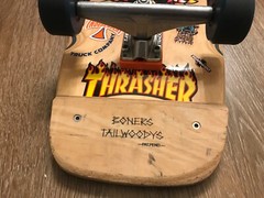 Dog Town Skateboard Bull Dog Design W/Tracker Trucks & wheels Boners Tailwoodys