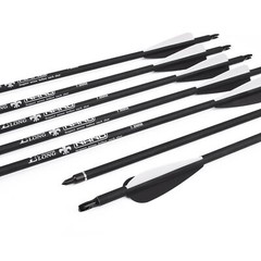 Archery Hunting Carbon Arrows for Recurve Compound Bow Target Practice Outdoor