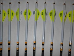 12 Gold Tip Hunter Pro 340 Carbon Arrows! Custom White Dip Crest/Blazer Vanes