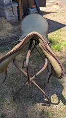 Wintec All Purpose 19 in Brown English Horse Saddle for Riding Training