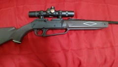 daisy bb gun rifle