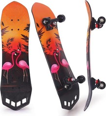 27″x 8″ Complete Skateboard for Beginners Youth Teens Kids Boys or Girls with…
