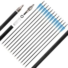 AMEYXGS 12 Pack 30 Inch Archery Aluminum Arrows Spine 300 Hunting Arrows Targ…