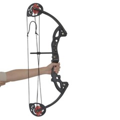 Right Hand Compound Bow and Archery Sets 15-29 lbs Hunting Bow Kit for Beginner
