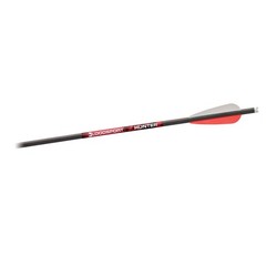 Bloodsport Hunter 20 in Crossbow Bolt