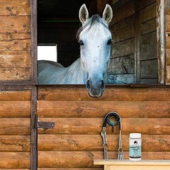 COAT DEFENSE Daily Preventative Powder & Rain Rot Treatment for Horses | 16oz