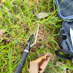 Archery 100 Grain Hunting Broadheads Arrowheads Arrow Heads Tips for Shooting
