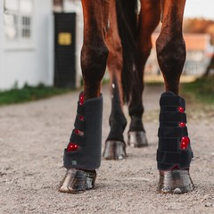 Red Light LED Therapy Leg Wrap for Horses