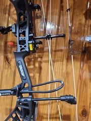 Bear Whitetail INT Bow Package RTH 45-60lbs Black With Bottomland Limbs 335fps