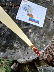 Vintage Wing Archery Presentation recurve 40# ~1963