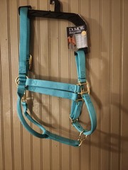 Dumor Premium Turquoise Nylon Halter With Snap Size LARGE