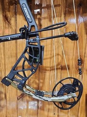 Bear Whitetail INT Bow Package RTH 45-60lbs Black With Bottomland Limbs 335fps