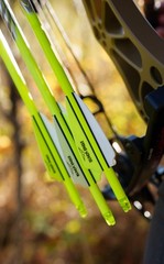 Black Eagle 19/64″ Factory Fletched Arrows, Talon 2.5″ Shield Cut, 6 Pack,…