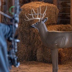 Shooter 3D Archery Target – Big Shooter Buck