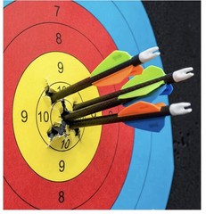 2PCS 20” EVA Archery Target Block w/ Papers, Pins & Arrow Puller