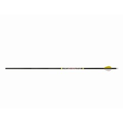 Carbon Archery Arrows for Hunting and Target Practice with Replaceable Tips