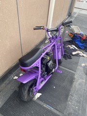 Doodle Bug Purple & Black Gas-Powered Mini Bike with Seat, Chain Drive