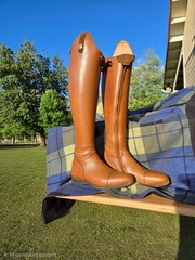 Celeris tall dressage boots in beautiful brown, 38 slim. Beautiful…barely worn