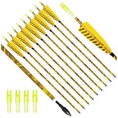 Practice Hunting Arrows 31″ Carbon Shaft, Adjustable Nocks
