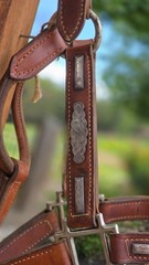 Vintage MacPherson Los Angeles Show Halter North & Judd Buckles Silver Overlay