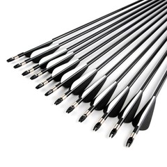 12PCS 30inch Fiberglass Arrows Spine 500 For Compound & Recurve Bows Hunting