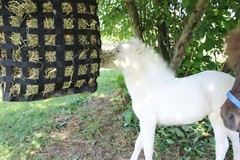 XL Go Around Slow Feeder Horse Hay Bag with Super Tough Bottom 1 Year Warranty