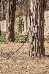 54» Archery Recurve Bow Longbow 20-70lbs Traditional Arrow Target Hunting Bow