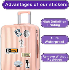 Pack 50 Pcs Science Laboratory Stickers Physics Chemistry Biology Experiment Vin