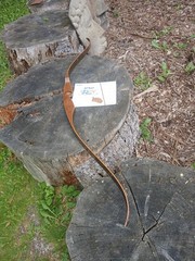 Vintage Wing Archery Falcon recurve 40#