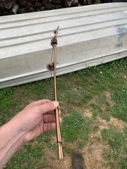 Excellent MARTIN ML 10 Long Bow Custom wrapped Handle 60# at 28″ length 68″