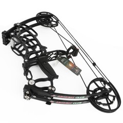US Compound Bow Short Axis 30-70lbs Dual-use Steel Ball Arrow Hunting Fish RH LH